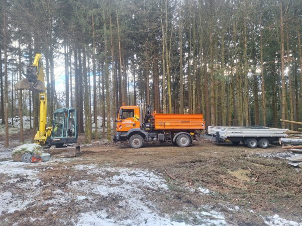 Ein Laster und Bagger im Wald bei Baumfällarbeiten.